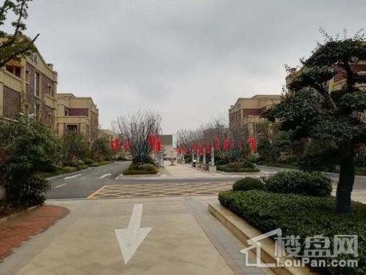 江南小城实景图